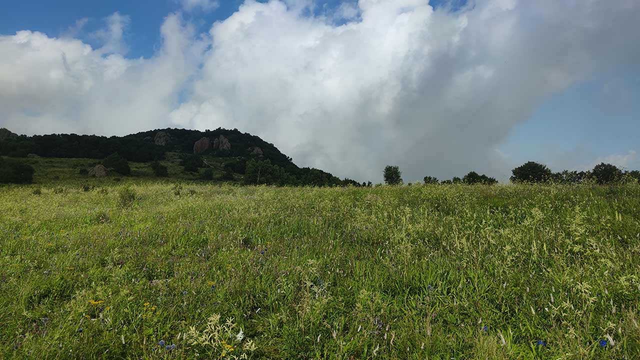 百花山