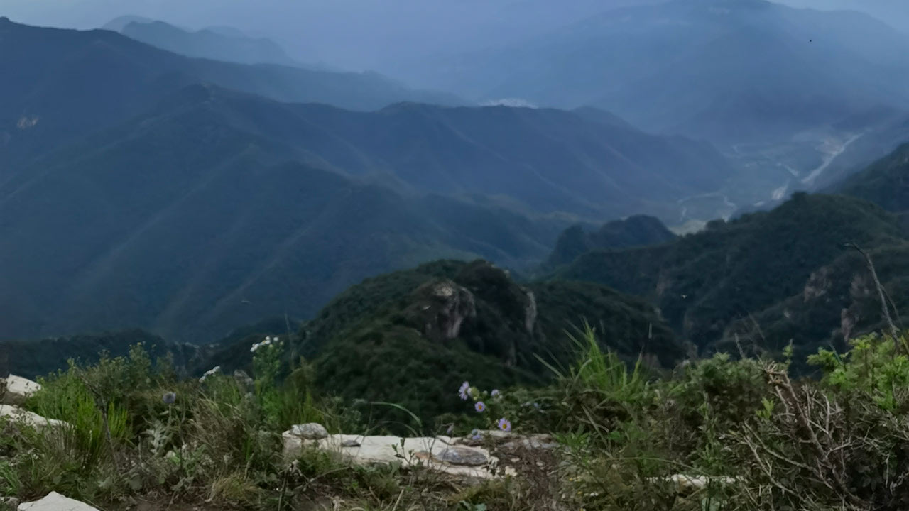 黄草梁